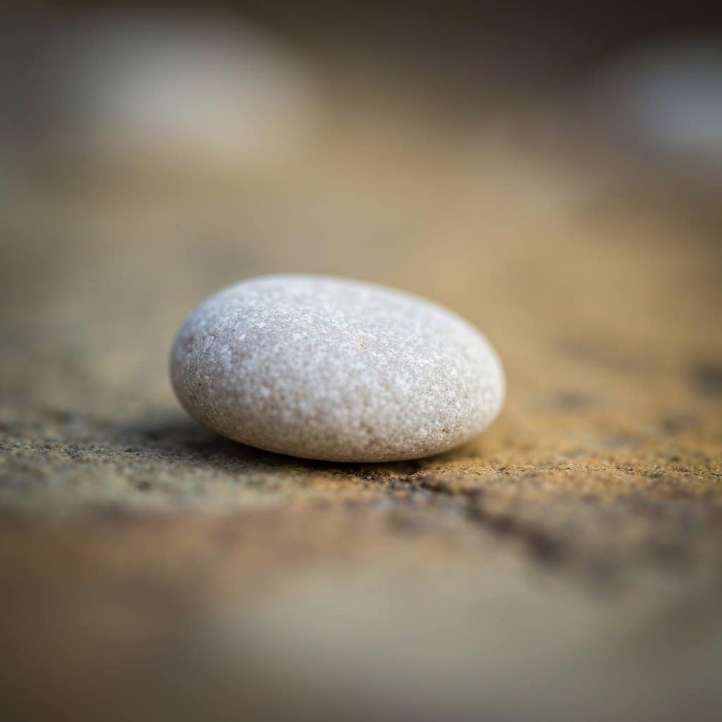 Wole guzkowe: wszystko, co musisz wiedzieć o tej przypadłości